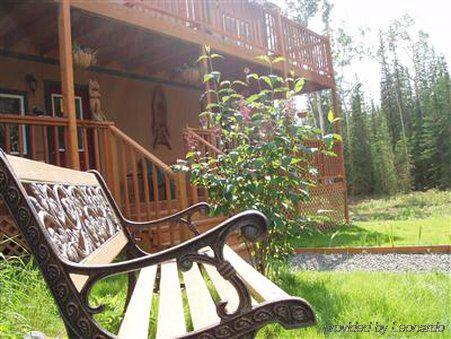 A Mooseberry Inn B&B Slana Exterior foto